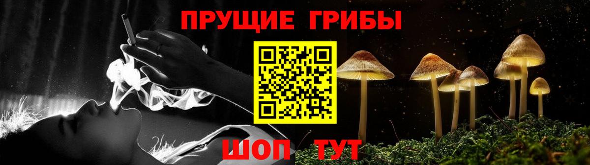 Псилоцибиновые грибы Cubensis Вольск